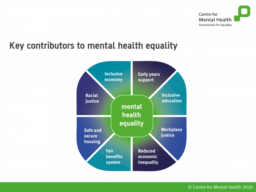 Key contributors to mental health equality